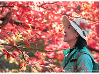 10/26(월) 운악산의 단풍..