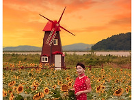 9/1(화) 난정리 해바라기의..