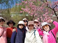 2026년4월8일