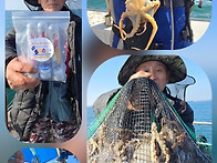 쭈꾸미전문낚시배 플러스호..