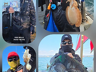 서해 쭈꾸미낚시배 플러스..