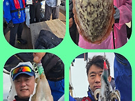 산란갑오징어낚시 초보 여..