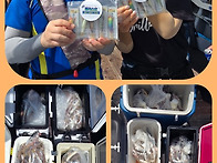 서해 선상백조기낚시 사릿..