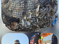 쭈꾸미낚시 플러스호 문어..