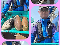 서해바다 봄산란갑오징어 ..