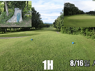 전홀 GIF로 보기