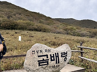 곰배령의 추억