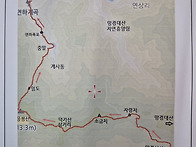 응봉산 트레킹