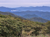 곰배령