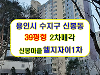 경기 용인시 수지구 신봉동..