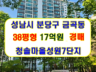 성남시 분당구 금곡동 분당..