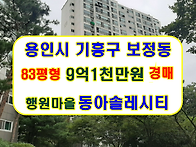 용인시 기흥구 보정동 행원..