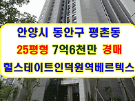 경기 안양시 동안구 평촌아..