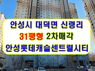 경기 안성시아파트경매 대..