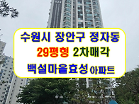 경기 수원시 장안구 정자천..