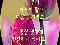 지금을 즐겨라