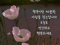 2026년 07월 24일/금요일..