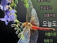 2024년 10월 04일/금요일..