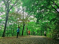 일광산
