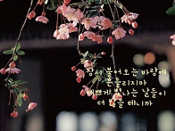 2026년 09월 08일/화요일..
