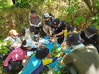2026/06/13 덕유산 야생화..