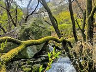 금오산에서 한컷