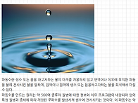 파동수