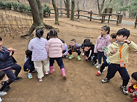 로제트를 찾아라