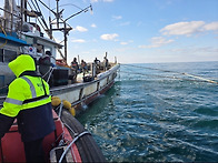 태안군, 2026 상반기 불법..