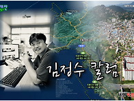 태안갈매기는 어쩌다가 황..