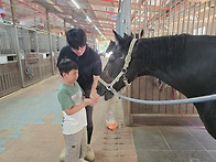 🐴 승마장 가는..