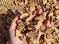 구수한비트차,돼지감자차,..