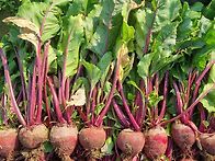 모든상품 저렴한가격에 판..