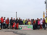 당진난지도