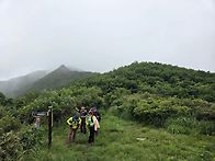 원시림 거망산