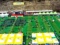 2026년 고로쇠 축제