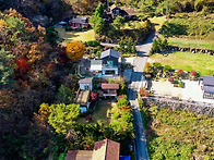 2024년 산음.석산리 단풍