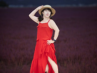 강화 난정 해바라기 몇점 ..