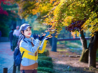 11/5[수]비봉산산행 운동..