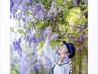 4/24[목]예산 등나무꽃 투..