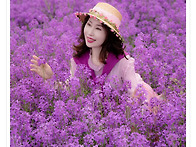 5월17일(토)영천보라유채꽃..