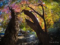 Autumn Panorama in..