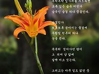 빗소리에 피는 꽃