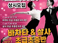 [수원]살사초급 ..