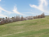 서산목장