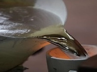 뿌리기업이란_뿌리..