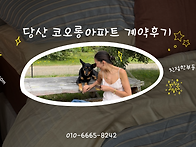 [당산 코오롱아파트 계약후..