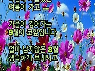 8월 미지막