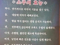 소주의 효능