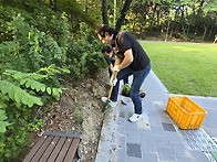 새마을지도자 유성구 온천2동협의회 7월10..